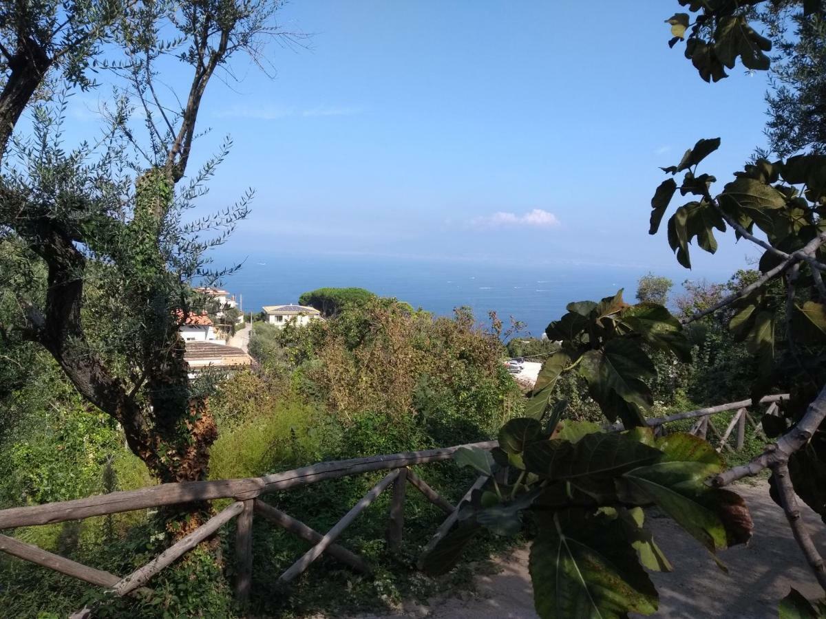 Anna Belle Elegant Agriresort Sorrento Exterior foto
